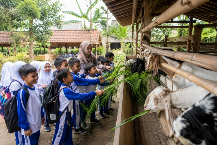 8 Wisata Edukasi Desa Kandri untuk Anak Sekolah